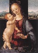 LORENZO DI CREDI Madonna and Child with a Pomegranate china oil painting artist